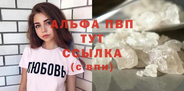 индика Бугульма