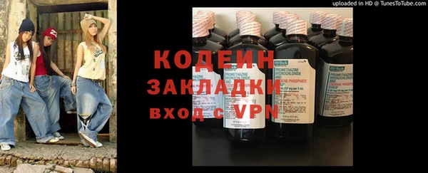индика Бугульма