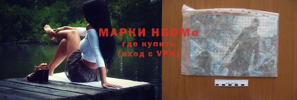 индика Бугульма