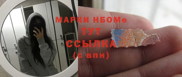 индика Бугульма