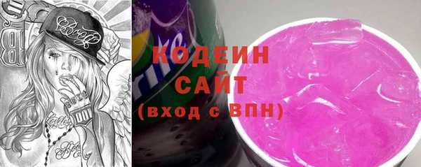 индика Бугульма