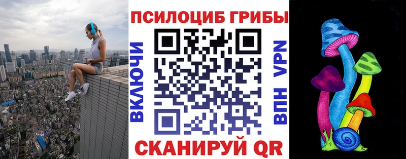 где продают наркотики  omg ссылки  Псилоцибиновые грибы Psilocybe  Чердынь 